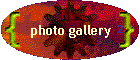 photo gallery